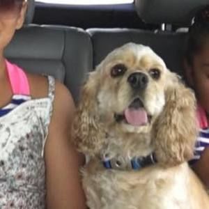 Meet your Posher, Rocio